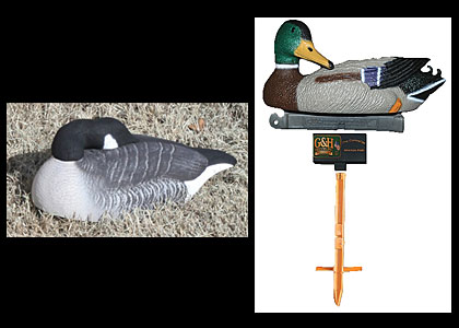 Mallard Duck Decoy Duck Hunting G & H Waterfowl Shotgun Shooting Duck Hunt 