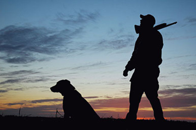 How to travel correctly with a hunting dog