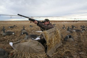 Hunting with decoys