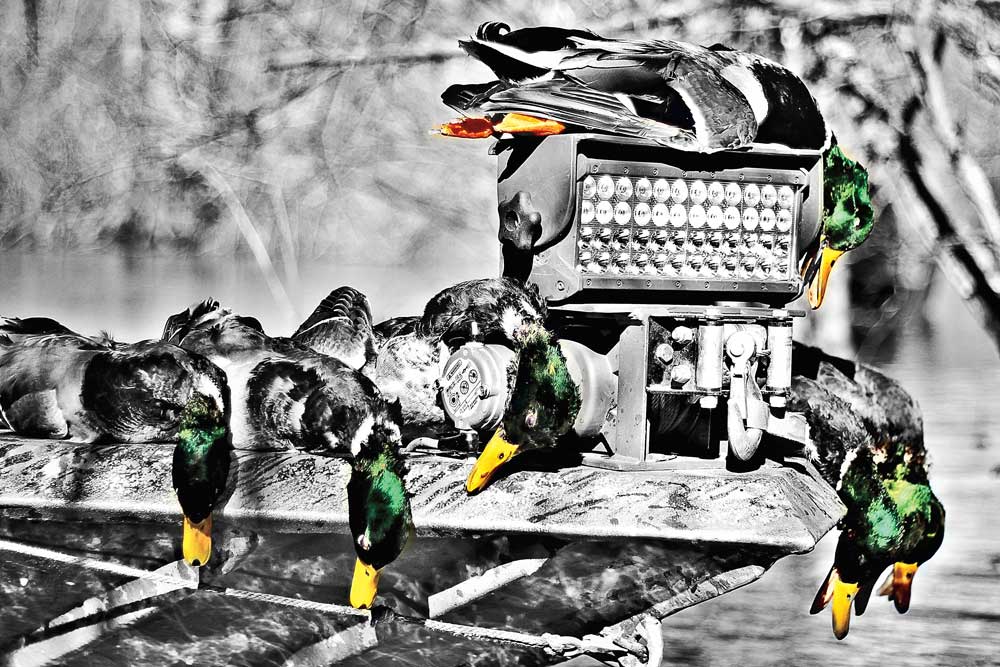Hot New Waterfowl Accessories for 2014