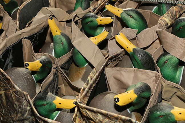 Using Small Decoy Spreads for Duck Hunting