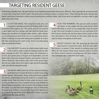 Resident Geese: Are There Too Many?