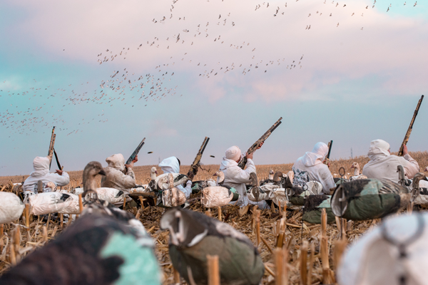Snow Goose Hunting Shooting Lanes