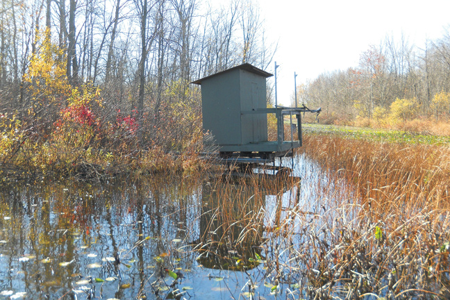 Building a Roll-Out Duck Blind