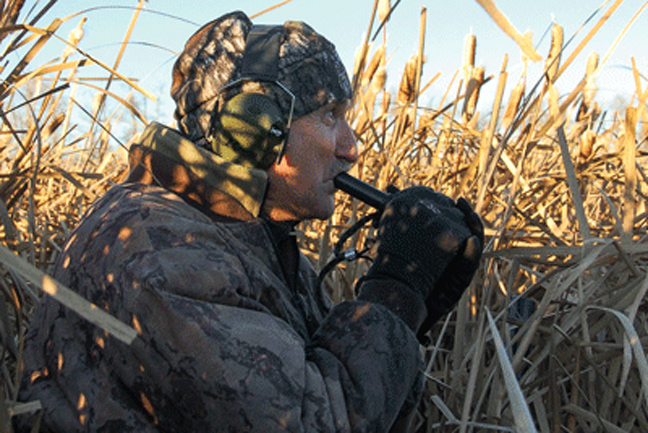 Calling Ducks Into the Blind