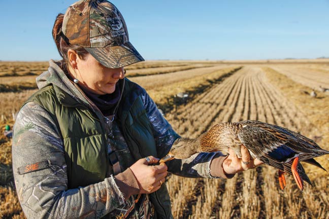 early-season-duck-hunting