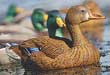 Pro Tips: New Uses For Old Decoys