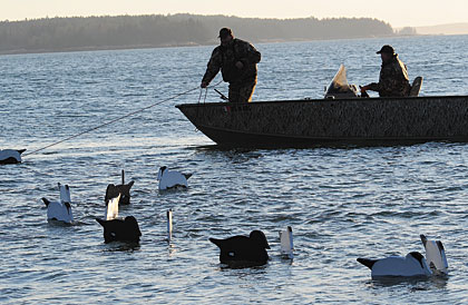 Pro Tips For Using V-Board Decoys
