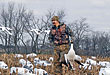 Eastern Snow Goose Hunting