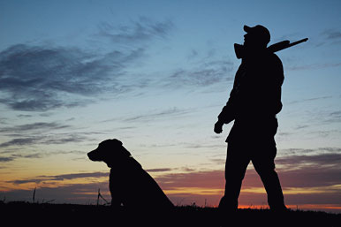 Must-Know Tips For Traveling With Hunting Dogs