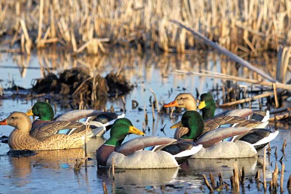 WILDFOWL's Best Duck Decoys for 2013
