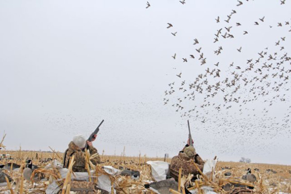 10 Great Duck Hunting Destinations