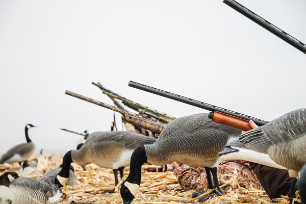 Great New Waterfowl Shotguns for 2015