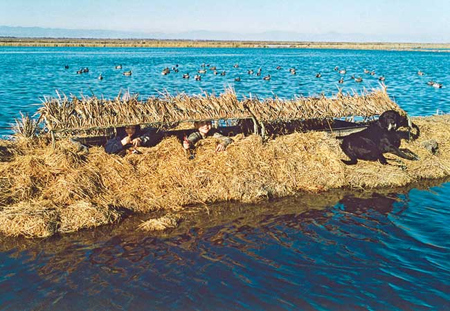 Ducks On Tap Building The Ultimate Seat For Your Duck Blind